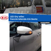 W5W lampadina LED canbus arancio modello Ory