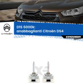 D1S:  Lampade xenon OEM Xenovision XT 6000K