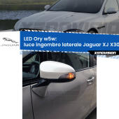 W5W lampadina LED canbus arancio modello Ory