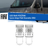 P21/5W: LED Bolt Rossi (Coppia)
