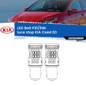 P21/5W: LED Bolt Rossi (Coppia)
