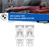 T20: LED Cobra 6000k (Coppia)