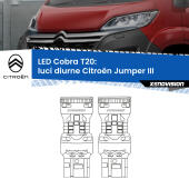 T20: LED Cobra 6000k (Coppia)