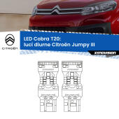 T20: LED Cobra 6000k (Coppia)