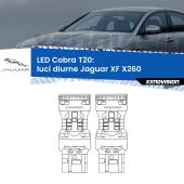 T20: LED Cobra 6000k (Coppia)
