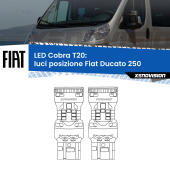 T20: LED Cobra 6000k (Coppia)