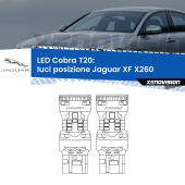 T20: LED Cobra 6000k (Coppia)
