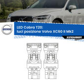 T20: LED Cobra 6000k (Coppia)