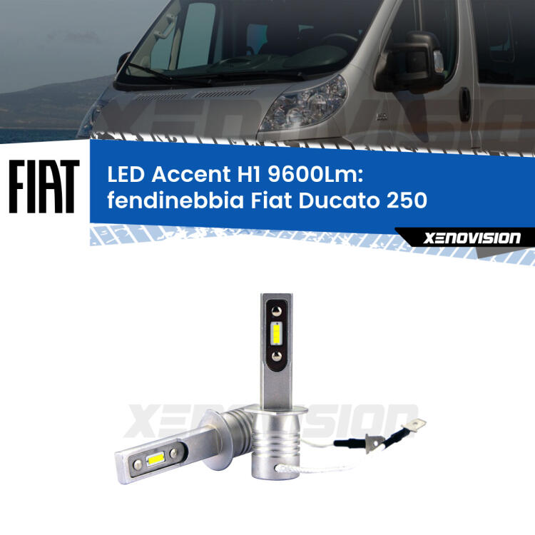 <strong>Kit LED Fendinebbia per Fiat Ducato</strong> 250 2006 - 2013.</strong> Coppia lampade <strong>H1</strong> senza ventola e ultracompatte per installazioni in fari senza spazi.
