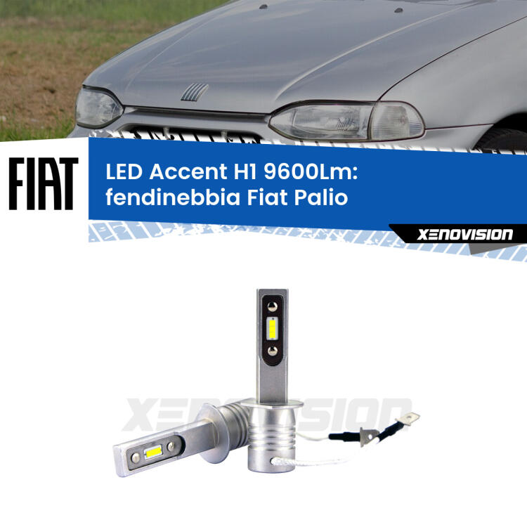 <strong>Kit LED Fendinebbia per Fiat Palio</strong>  1996 - 2003.</strong> Coppia lampade <strong>H1</strong> senza ventola e ultracompatte per installazioni in fari senza spazi.