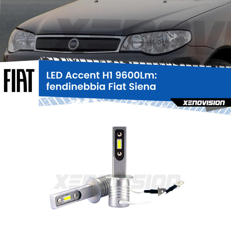 <strong>Kit LED Fendinebbia per Fiat Siena</strong>  1996 - 2012.</strong> Coppia lampade <strong>H1</strong> senza ventola e ultracompatte per installazioni in fari senza spazi.