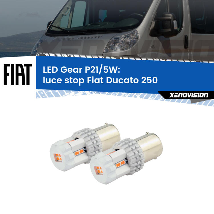 <strong>Luce Stop LED per Fiat Ducato</strong> 250 2006 - 2018. Due lampade <strong>P21/5W</strong> rosse non canbus modello Gear.