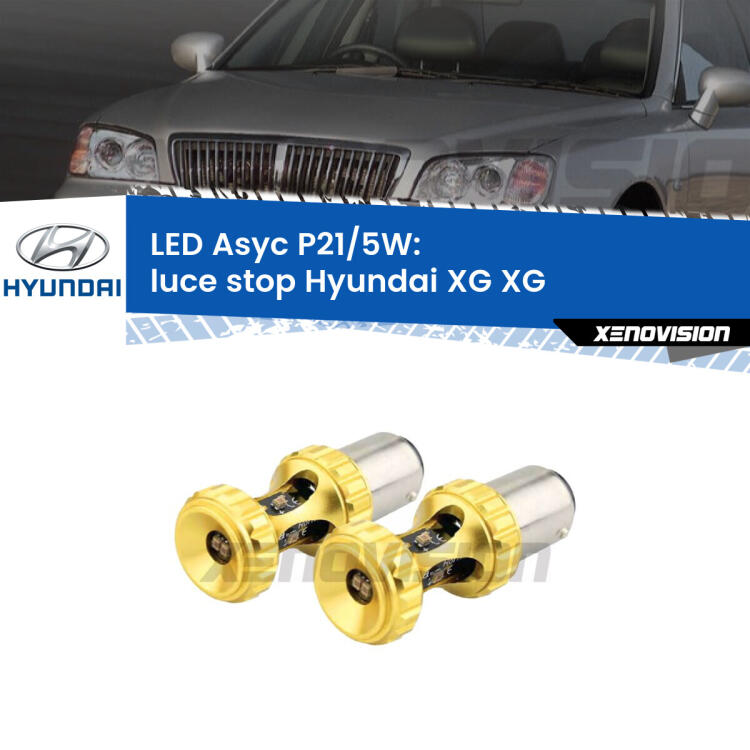 <strong>luce stop LED per Hyundai XG</strong> XG 1998 - 2005. Lampadina <strong>P21/5W</strong> rossa Canbus modello Asyc Xenovision.