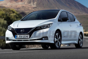 Leaf ZE0 (2010 - 2016)