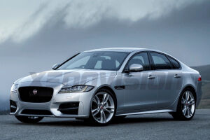 XF X250 (2007 - 2015)