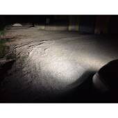 D1S:  Lampade xenon OEM Xenovision XT 6000K