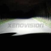 H11: Kit Xenon PhenomXT Xenovision 42W Canbus