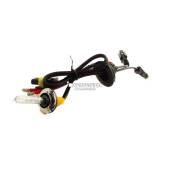 H11B H9B 6000k Lampada xenon originale Xenovision per kit 35W - Plug Ket
