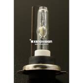 H7: Lampada HID Xenovision FocusPro 5300k