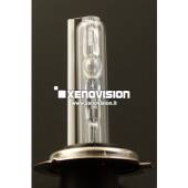 H7-R 8000k Lampada xenon originale Xenovision per kit 35W - Plug Ket