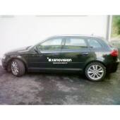 Kit Led Audi A3 2010 restyling in poi - FULL - Bianco Lunare 6000k