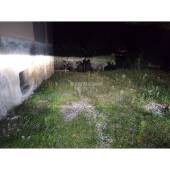 Kit Xenon Alfa 159 (2005 - 2012) Anabbaglianti 5000k