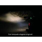 Kit Xenon Ducati Streetfighter - 2009 in poi - Xenon 35W - 6000k