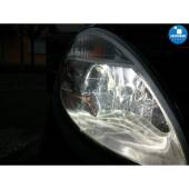 Kit Xenon Lancia Musa - 2004 al 2012 - Xenon 35W e Posizioni - 5300k