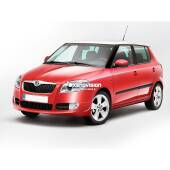 Kit Xenon Skoda Fabia - 2007 al 2014 - Xenon 35W e Led Posizioni - 6100k