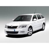 Kit Xenon Skoda Octavia - 2008 in poi - Xenon 35W - 6100k
