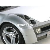 Kit Xenon Smart Roadster 452 - 2003 in poi - Xenon 35W e Posizione - 5000k