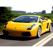 Lampade Xenon Lamborghini Gallardo - 2003 al 2008 - Xenon 35W - 6100k