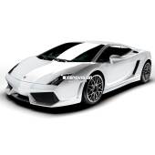 Lampade Xenon Lamborghini Gallardo - 2009 al 2012 - Xenon 35W - 6000k
