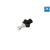 PH19W: LED Canbus CREE 30W 6000k