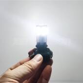 PH24W: Lampadine DRL LED Canbus (Coppia)