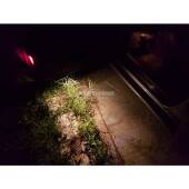 T10 (W5W) XPRO Accent LED 3800K - LED Luce Calda per Interni (coppia)