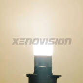 T10 (W5W) XPRO Accent LED 3800K - LED Luce Calda per Interni (coppia)