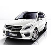 Kit Xenon Mercedes ML W166 - 2011 in poi - Xenon 35W e Posizione - 6100k