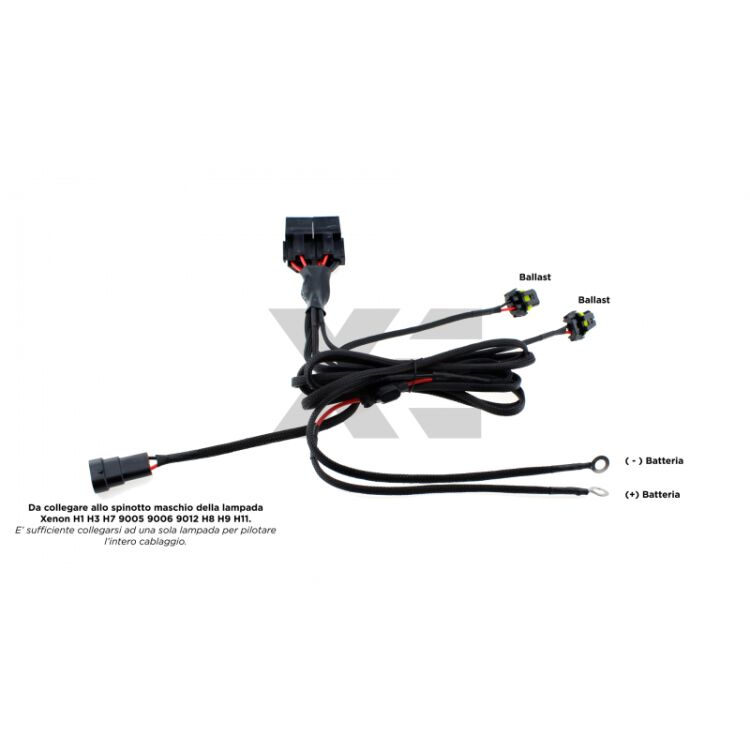 <p>Top di Gamma. Doppio-Relè e Cavi Maggiorati, per domare qualsiasi centralina al primo tentativo. Anche a -20°C.</p>