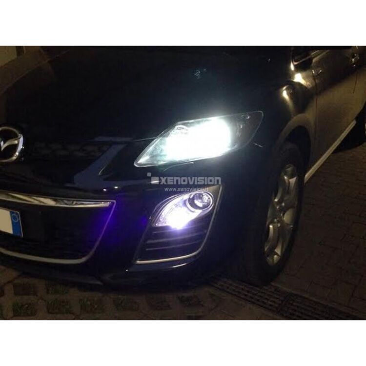 <p>Lampade di qualit&agrave; estrema, la serie <strong>Xenovision FocusPRO Korea</strong>, realizzate per i clienti ancora pi&ugrave; esigenti. Qualit&agrave;, luminosit&agrave; e durata sono paragonabili a marchi come Philips e Osram.<br />IIl colore di queste lampade &egrave; cristallino, bianco purissimo, leggermente ghiacciato ma senza riflessi azzurri, molto ricercato dai nostri clienti pi&ugrave; esigenti.&nbsp;Il bulbo utilizzato &egrave; il nostro miglior prodotto, lo stesso delle lampade Focus PRO Korea.</p>