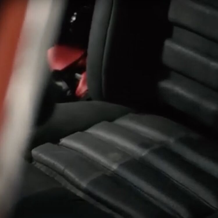 Detergente energetico per interni basato su enzimi attivi, pulisce a fondo lo sporco ma è innocuo su pelli e delicati.